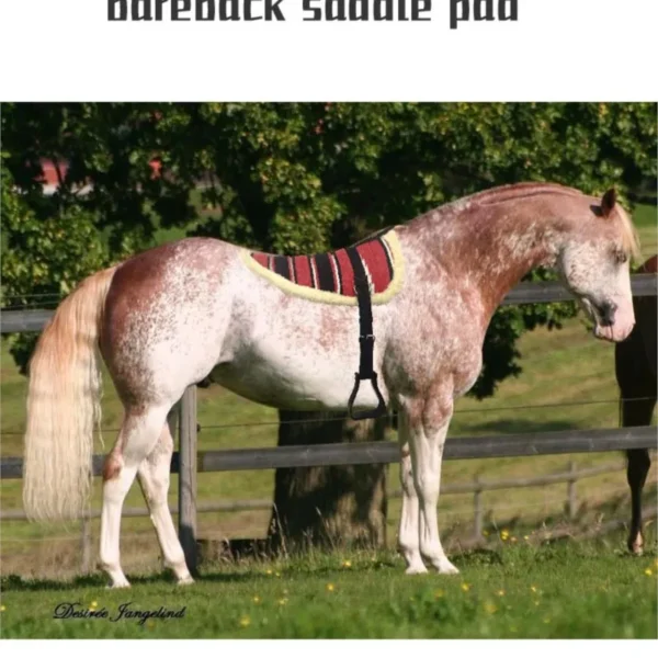 ⁦حصيرة ركوب الخيل المتموجة ، وسادات سرج تدريب الحصان المنغولي ، سرج التدريب الخفيف⁩ - الصورة ⁦2⁩