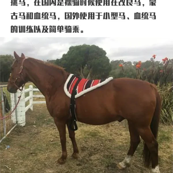 ⁦حصيرة ركوب الخيل المتموجة ، وسادات سرج تدريب الحصان المنغولي ، سرج التدريب الخفيف⁩ - الصورة ⁦3⁩
